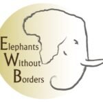 elephants without border