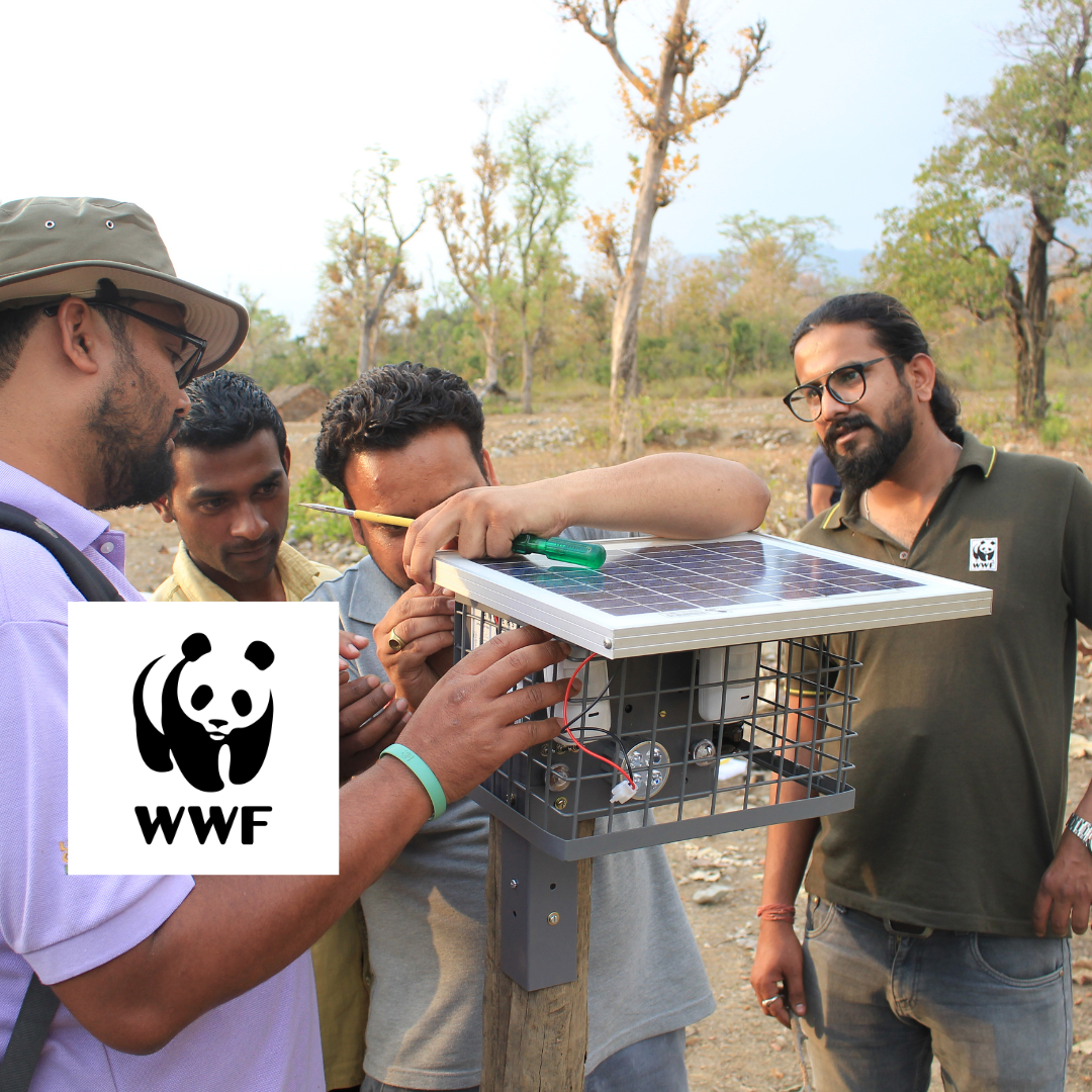 aniders-wwf-india-kyari-wildlife